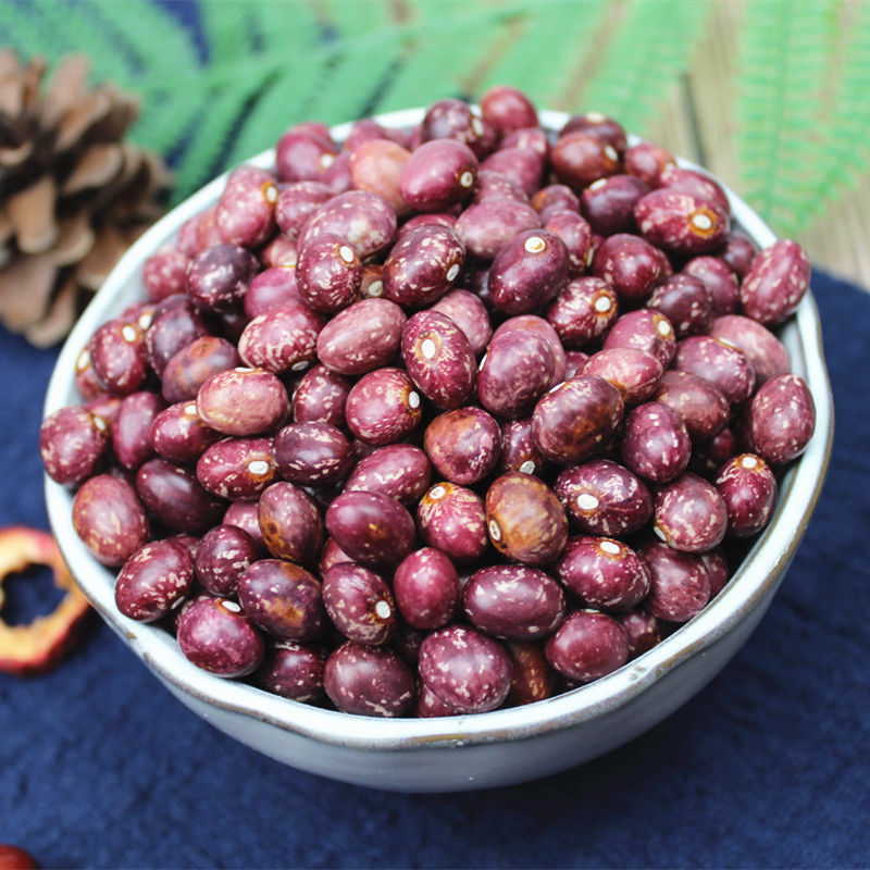 云南金丝豆5斤 农家自产红花豆孔雀豆芙蓉豆雀蛋豆芸豆红饭豆1斤