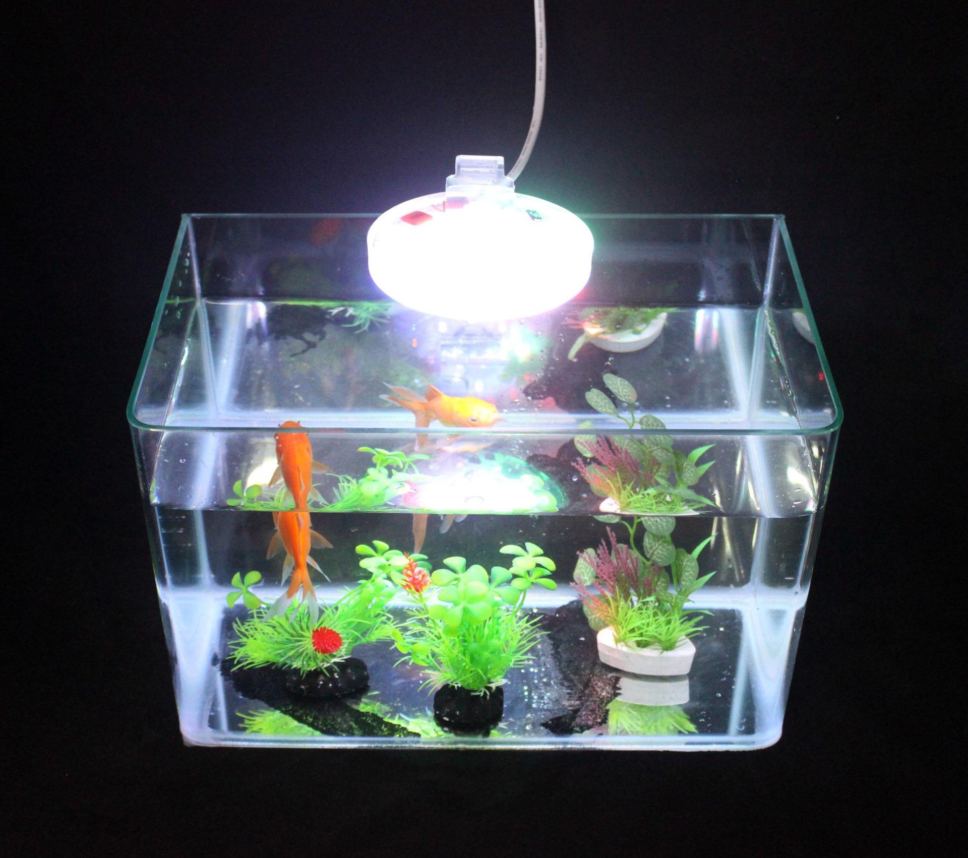 led防水夹灯圆形鱼缸专用照明灯光水草造景装饰灯布景迷你小圆灯