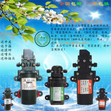 12v水泵批发 电动喷雾器隔膜泵微型洗车水泵家用220v 高压自吸泵