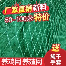 尼龙养鸡网养殖网山鸡塑料围鸡网菜园果园围栏网防鸟爬藤养鸭远三