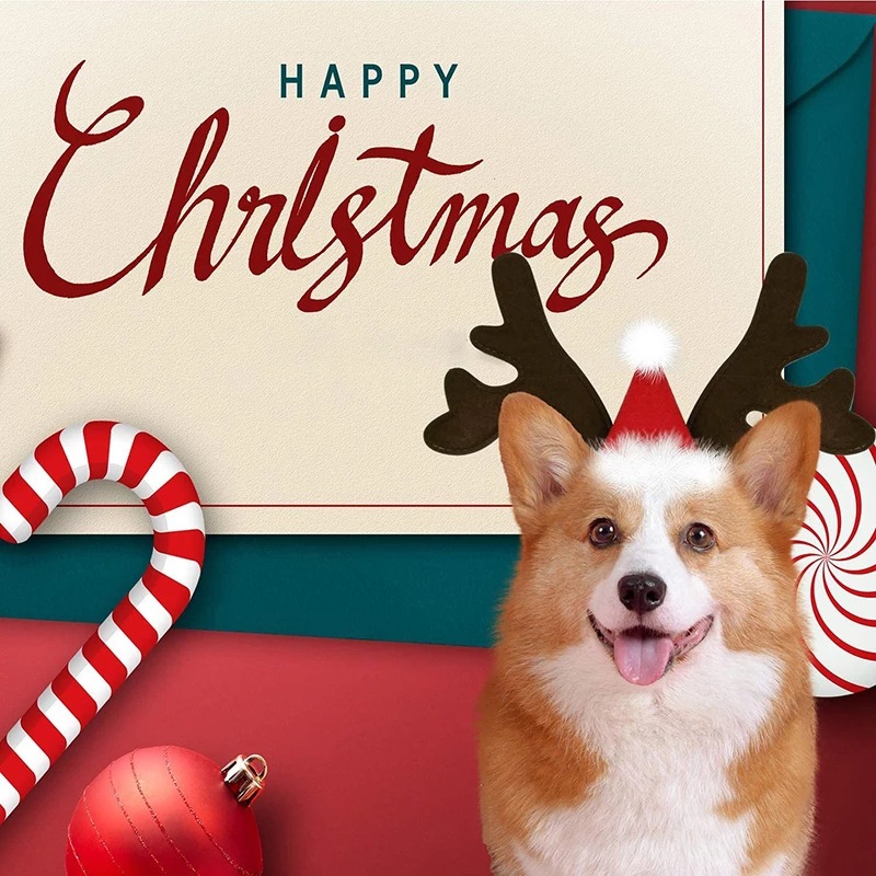 Christmas Dog Supplies Elk Headband Santa Claus Hat Pet Christmas Cool Dog Clothing Cute Headwear Accessories