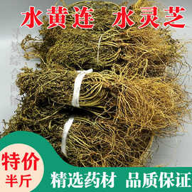8成交0笔玉林市岩黄连岩莲 岩黄莲岩胡 岩