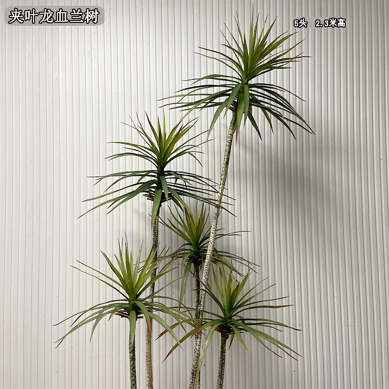 仿真绿植吊兰盆栽酒店家居装饰新品仿真龙血兰树中小型仿真植物