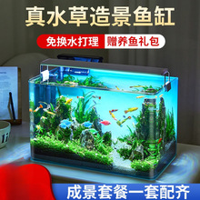 鱼缸水族箱客厅小型迷你桌面免换水生态造景小金鱼缸热弯超白玻璃