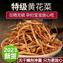 黄花菜净重头茬新货金针菜凉拌菜炖肉十成干黄花菜干货无干燥剂批