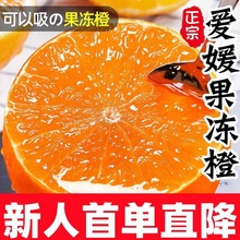 果冻橙四川爆汁爱媛手剥橙子脐橙血橙非不知火耙耙柑新鲜水果跨境