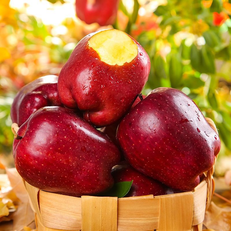 甘肃天水花牛苹果9斤水果新鲜整箱孕妇当季花牛蛇果红蛇果粉面5斤