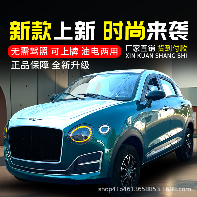 新款电动代步车电瓶车小电车成人自动挡油电两用四轮电轿车-阿里巴巴