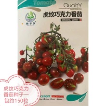 虎纹巧克力番茄种子樱桃圣女果西红柿蔬菜春秋阳台种植