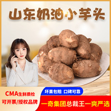 槟榔鲜实惠包邮湘潭世家槟榔十元加量装_阿里巴巴找货神器