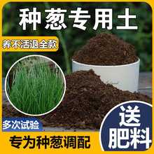 种葱专用土阳台种菜通用型蔬菜种菜种植土营养土盆栽香葱土壤家汗