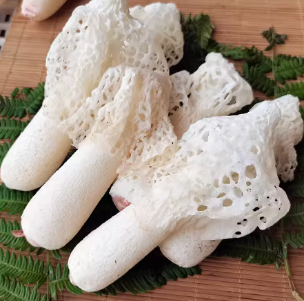 野生竹荪无硫竹笙食用菌干货500g特产煲汤食材23年新货