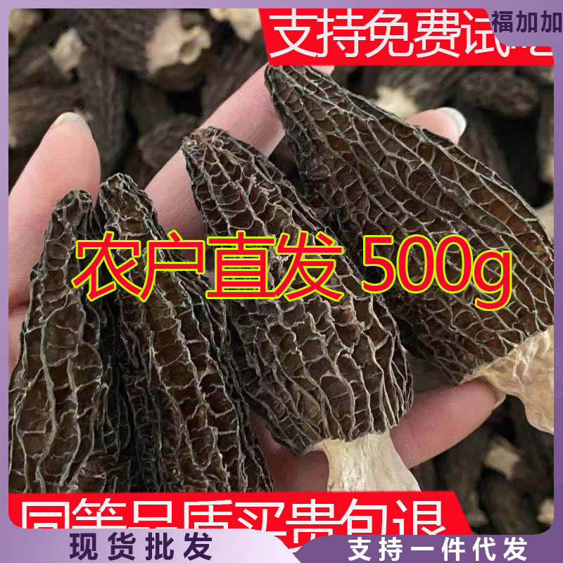 云南羊肚菌干货纯野生羊肚菌菇包干货新鲜的羊肚菇汤料包官方旗舰