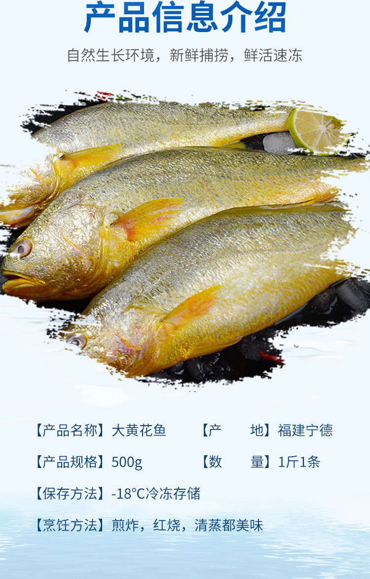 新鲜深海大黄鱼宁德黄花鱼1-5斤非东海黄鱼现捕现发鲜活冷冻顺丰