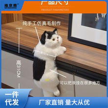 仿真猫咪摆件毛绒玩具艺品创意礼物电视猫挂猫室内开业摆件