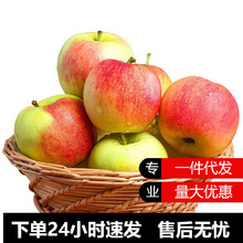 嘎啦苹果山西运城红富士苹果新鲜水果时令生鲜嘎啦苹果一件代发