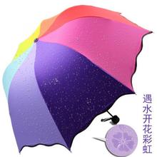 彩虹雨伞遇水开花折叠公主伞太阳伞晴雨伞黑胶彩虹伞防紫外线代发