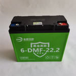 厂家供应振盟黑金高能电动车用蓄电池48v60v72v 22.2ah量大从优