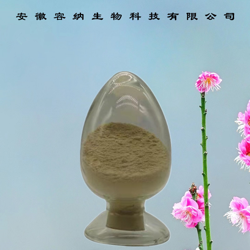 厂家供应 食品级 葡聚糖酶 含量99 β-葡聚糖酶 1kg起订