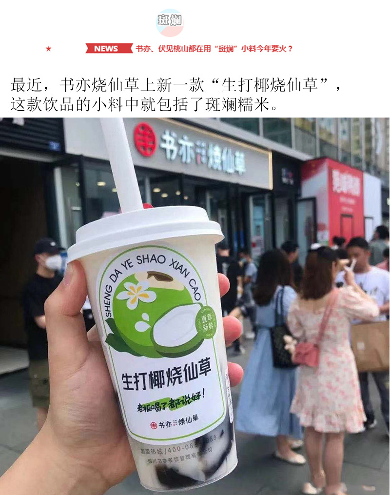 斑斓粉1斤香兰叶粉末500克椰汁糕绿糕点上色商用烘焙原料批发代发