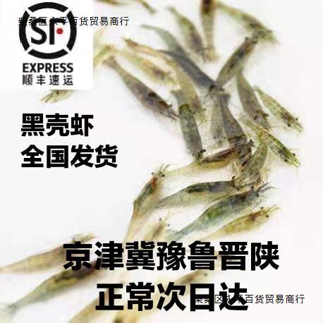 黑壳虾除藻观赏虾大号清洁草虾淡水活体龟饲料活虾鲜活工具鱼缸美