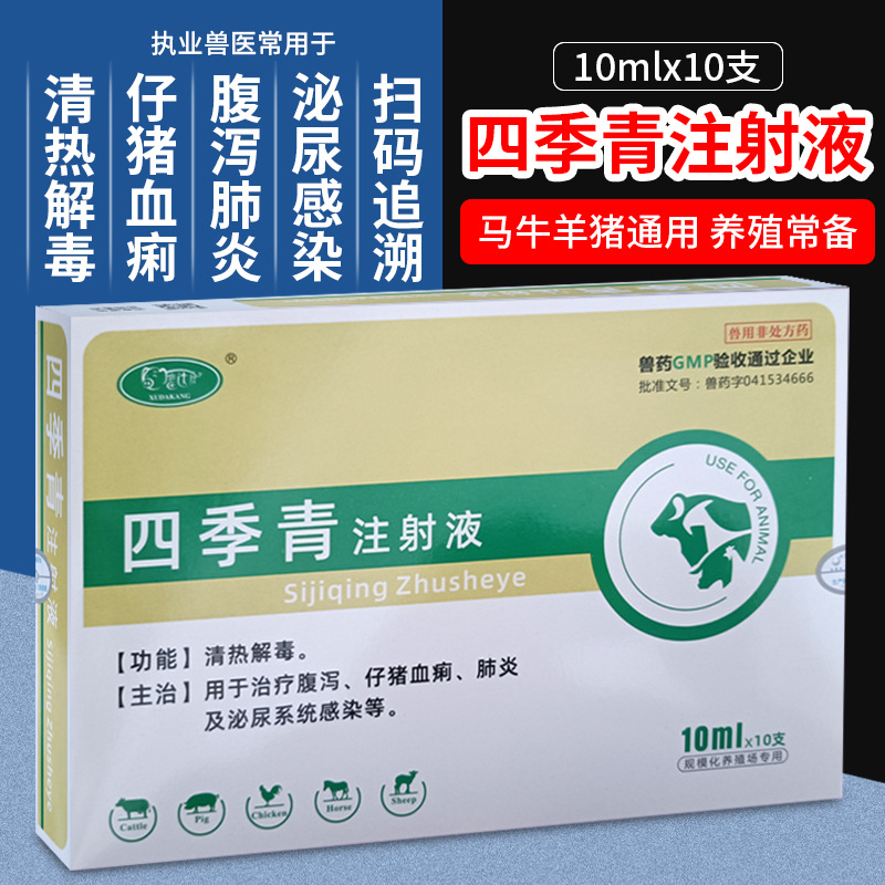 兽药兽用四季青注射液猪马牛羊腹泻肺炎泌尿感染仔猪血痢清热解毒