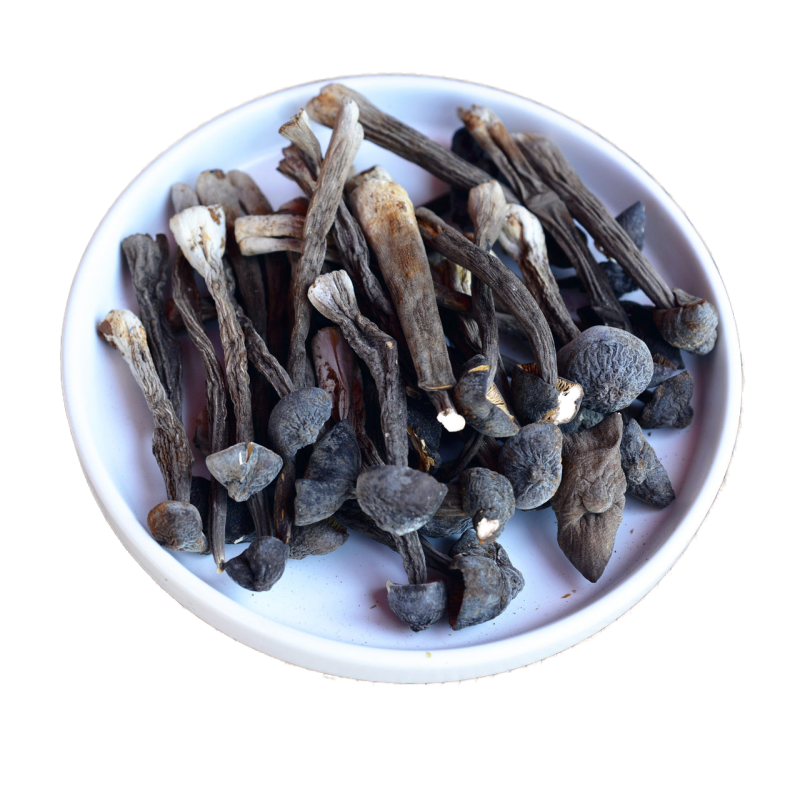 黑皮鸡枞菌干货 非野生 鸡纵菌 云南特产菌菇 味道鲜美250克包邮