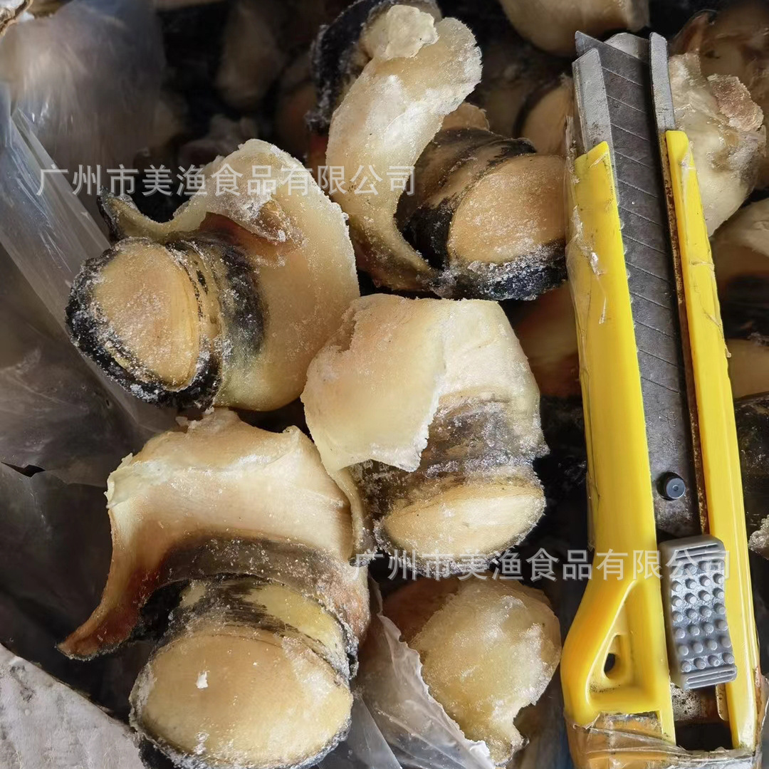 西非海螺头 美国刺身 大海螺肉 刺身大海螺肉响螺头m/l码 15kg/件