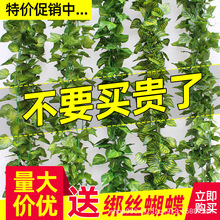 仿真藤条葡萄叶装饰假花藤蔓管道缠绕绿植吊顶树叶塑料爬山虎绿叶