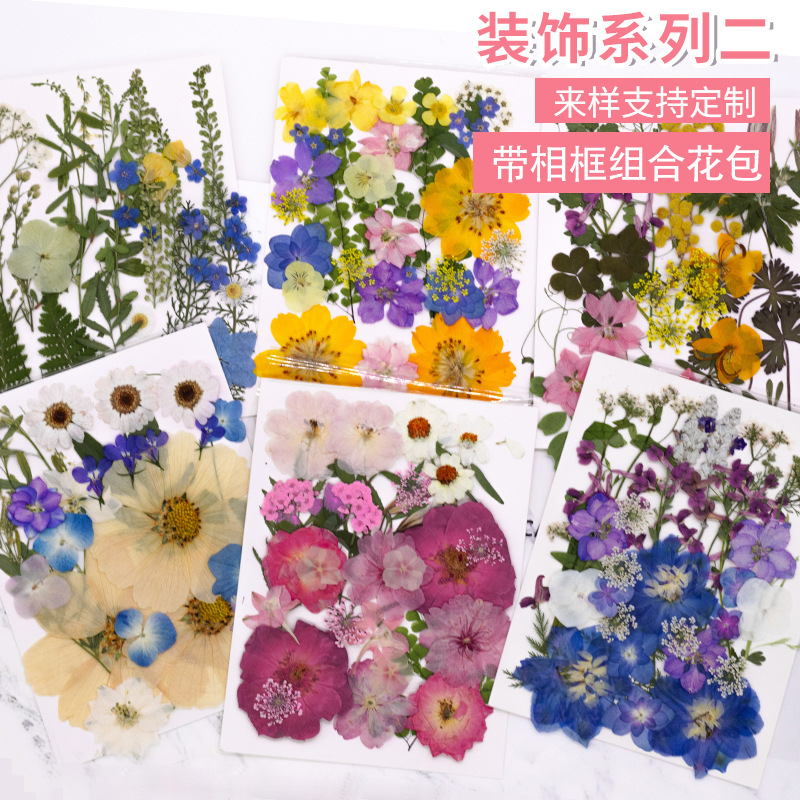 押花干花diy贴脸妆写真 压花书签真树叶植物标本贴画滴胶拍摄道具