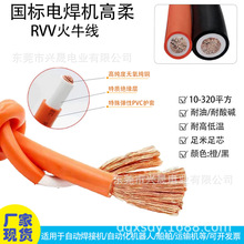 RVV10平方火牛线电镀设备电缆阳极阴极线厂家直销国标足米