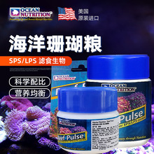 美国海洋脑珊瑚海葵专用粮LPS SPS混合珊瑚粮大力丸纽扣珊瑚饲料