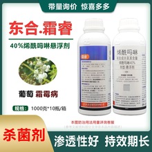 东合40%烯酰吗啉悬浮剂农药杀菌剂葡萄霜霉病农药杀菌剂烯酰吗啉