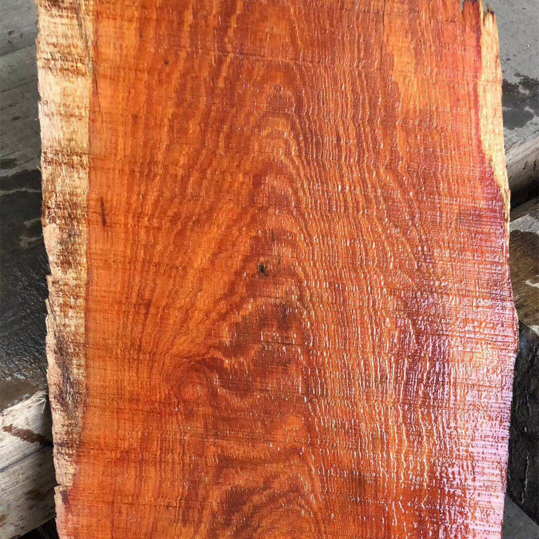 尼泊尔小叶紫檀 原木 印尼紫檀 非洲小叶紫檀方料