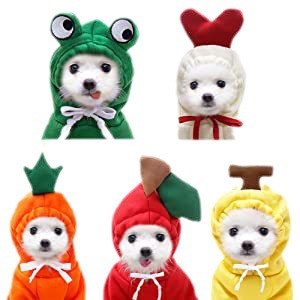 Pet Clothes Dog Cat Fruit Pet Costume Teddy/French Bulldog Small and Medium-Sized Dogs Autumn and Winter Fleece Clothing Factory Direct Supply