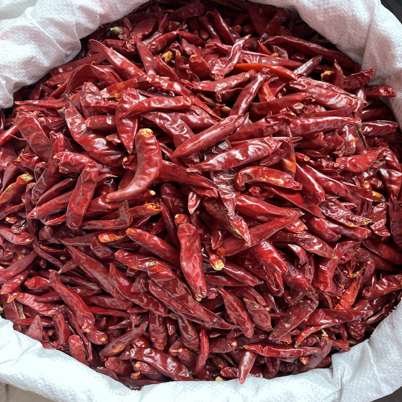 河南内黄新一代干辣椒香辣提色500g火锅底料调味品干辣椒调味料