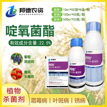 美国杜邦 阿砣西瓜炭病蔓枯病月季黑斑病黑星病杀菌剂 100ml