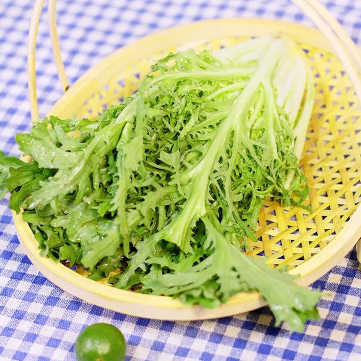 3斤顺丰起拍 新鲜苦菊苦细叶生菜苦苣蜘蛛生菜狗牙九芽沙拉蔬菜