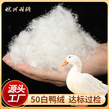 羽绒厂家直销50纯白鸭绒 高蓬松水洗高温烘干羽绒服 羽绒被填充预