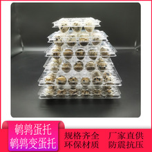 枚鹌鹑蛋塑料蛋托30枚鹌鹑蛋托盘12枚 一次性透明鸟蛋打包盒