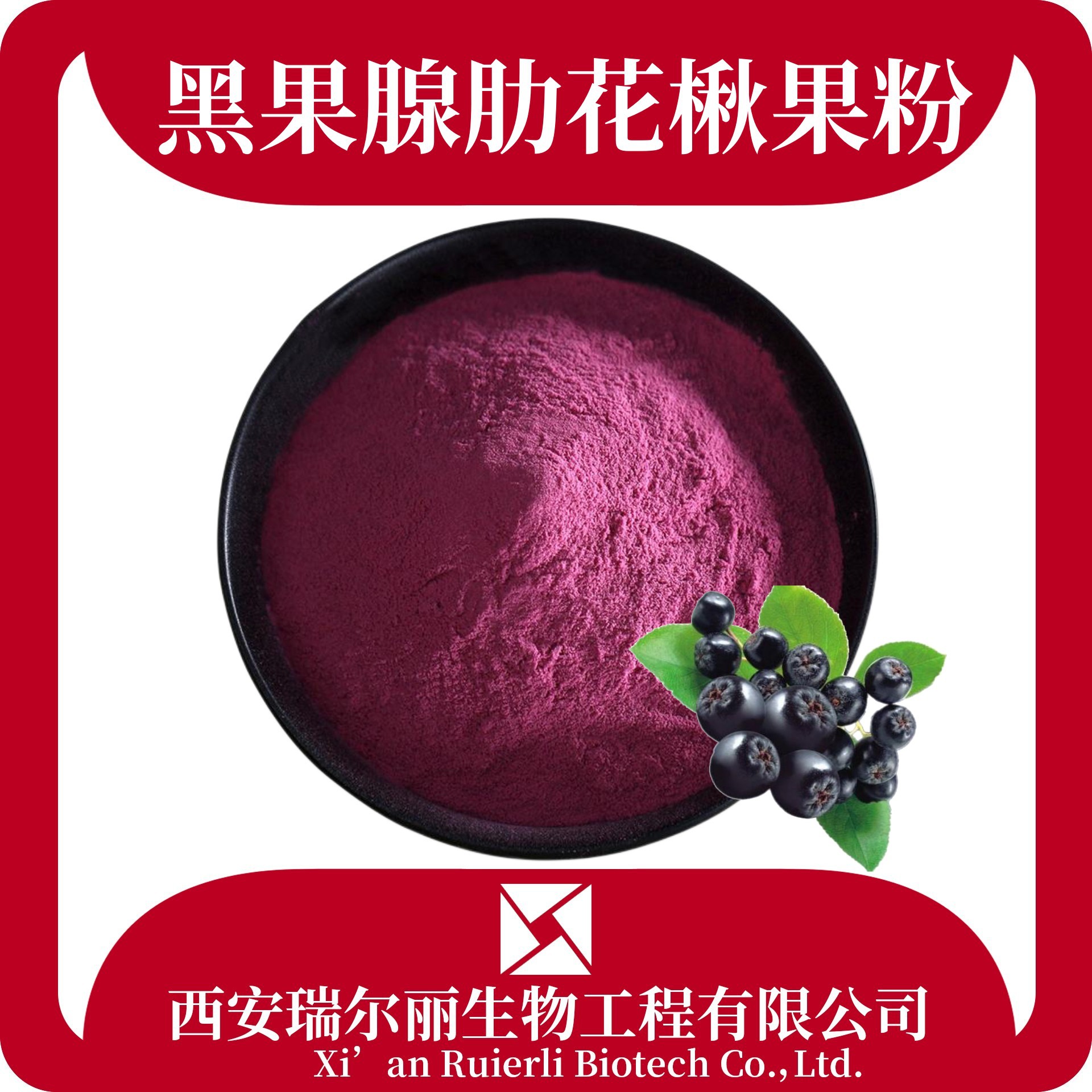 黑果腺肋花楸果粉99%野樱莓果粉黑果腺肋花楸果提取物sc厂家
