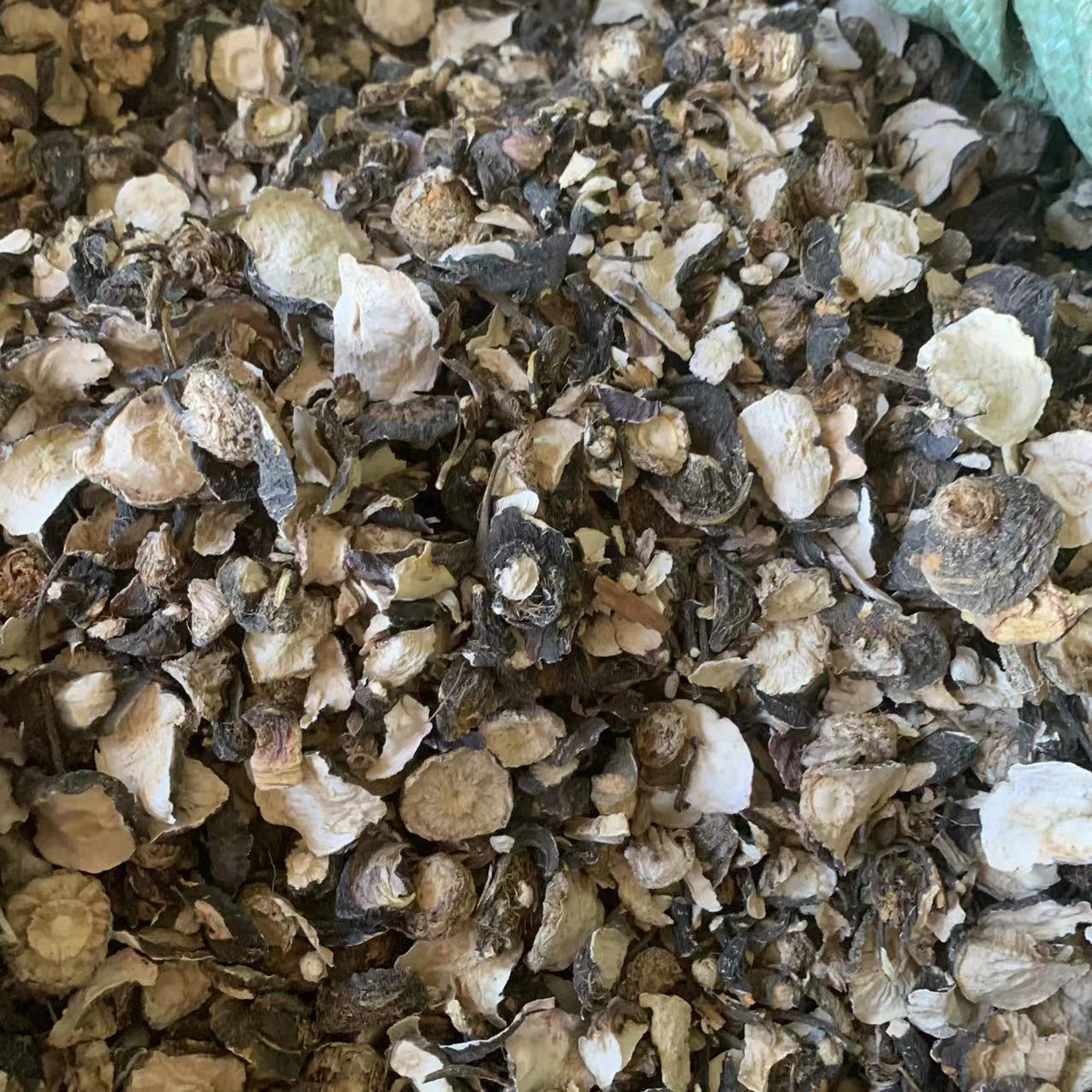 丽江特产玛咖-丽江特产玛咖厂家,品牌,图片,热帖-阿里巴巴