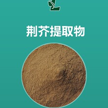 荆芥提取物 30:1规格 猫薄荷萃取原料 500g/袋 现货批发 土荆芥粉