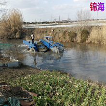 沈阳景区水上保洁船 小型河道河沟捞草船 机械化水草收割设备