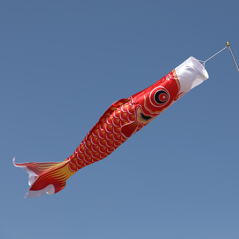 大号鲤鱼旗日本鱼旗日本鲤鱼旗鲤鱼幡日式鲤鱼旗导游旗端午节装饰