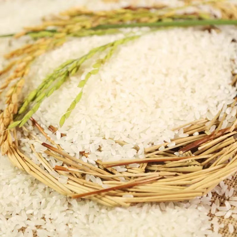 5kg5斤五常香米真空包装黑龙江特产东北大米