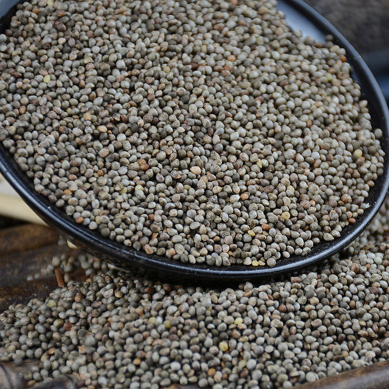 22年贵州酥麻籽精选农家黑苏麻引子油性酥麻乌蒙糖苏麻籽紫苏麻