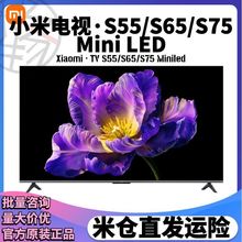 xiaomi电视S75 MiniLED S65S55高阶分区 144Hz超高刷平板电视新品