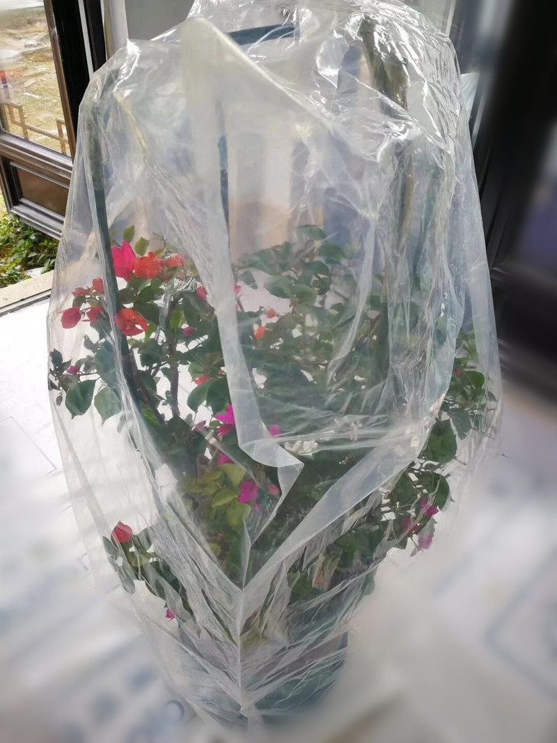 花卉绿植盆栽过冬防冻保温膜植物果树防寒罩套家用加厚透明塑料袋