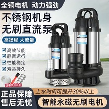 不锈钢无刷直流潜水泵48V-72V通用2寸大流量农用灌溉电瓶车抽水机
